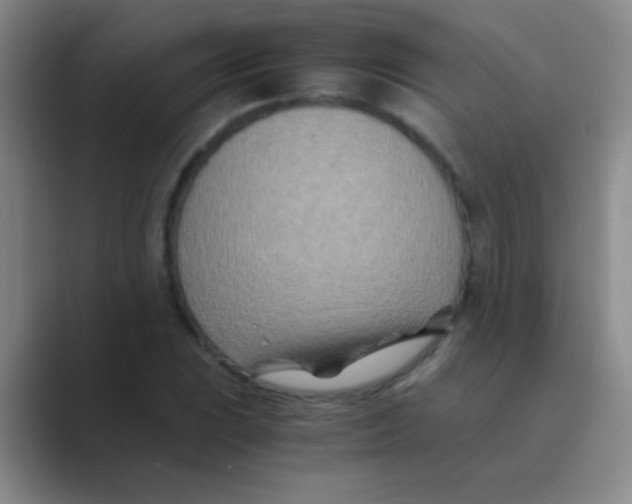 X0000088721023200706282059