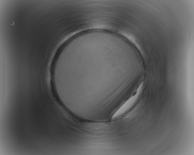 X0000088721024200706282059