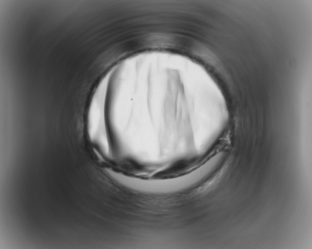 X0000088721025200706282059