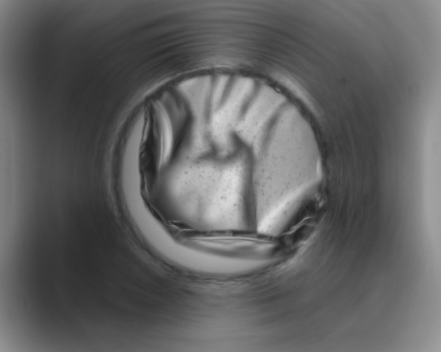 X0000088721026200706282059