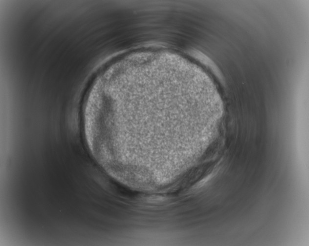 X0000088721027200706282059