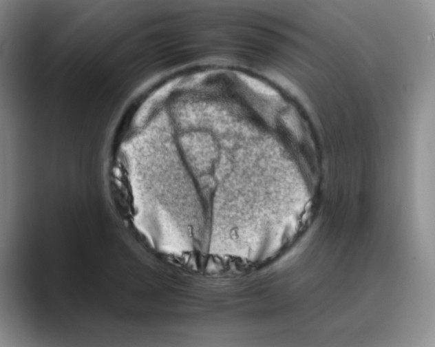 X0000088721029200706282059