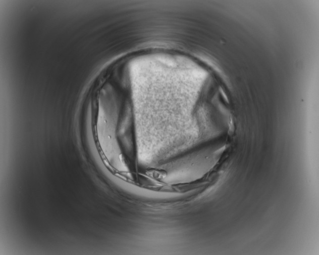 X0000088721030200706282059