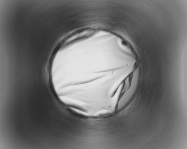 X0000088721032200706282059