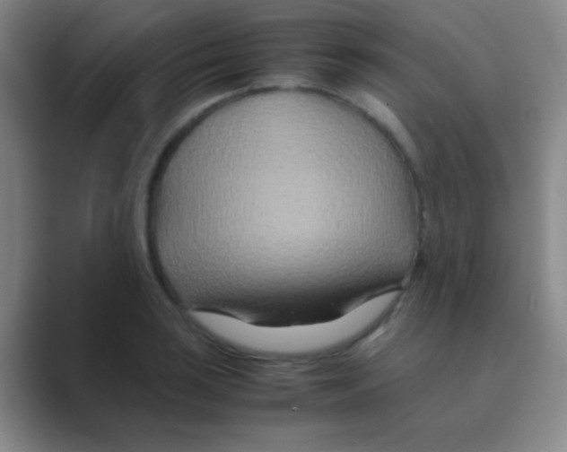 X0000088721035200706282059