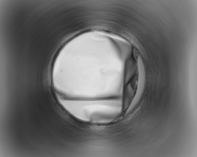 X0000088721036200706282059