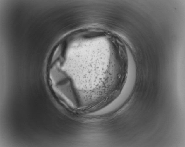 X0000088721038200706282059