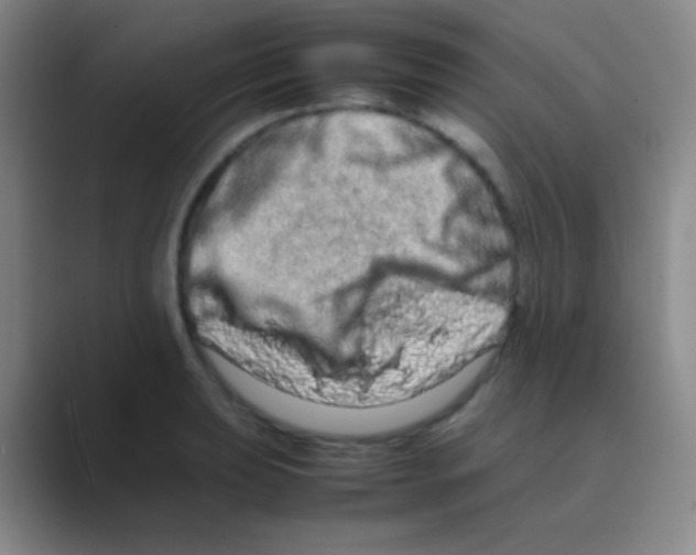 X0000088721039200706282059