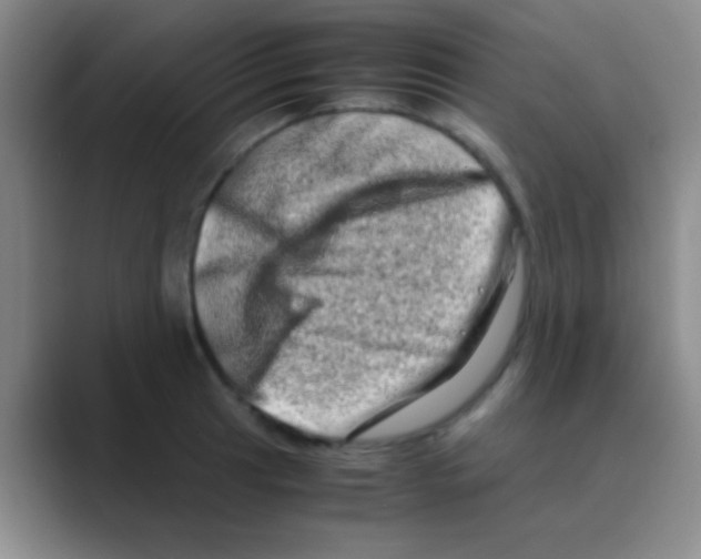 X0000088721041200706282059