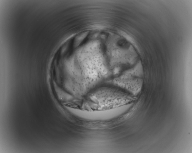 X0000088721042200706282059