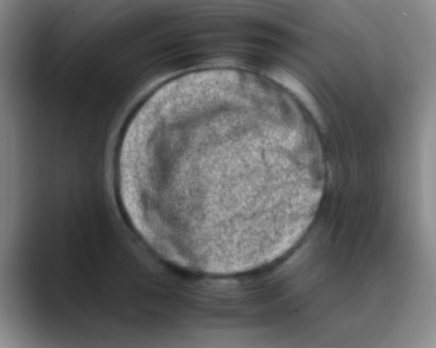 X0000088721043200706282059