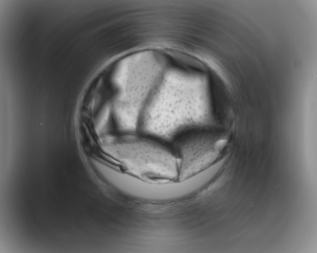 X0000088721046200706282059