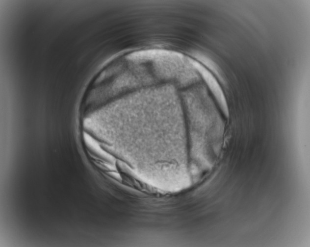 X0000088721047200706282059