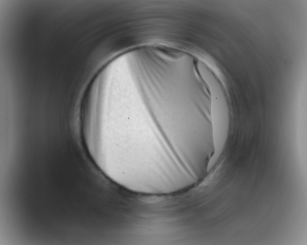 X0000088721048200706282059