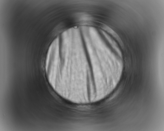 X0000088721049200706282059