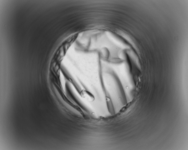 X0000088721050200706282059