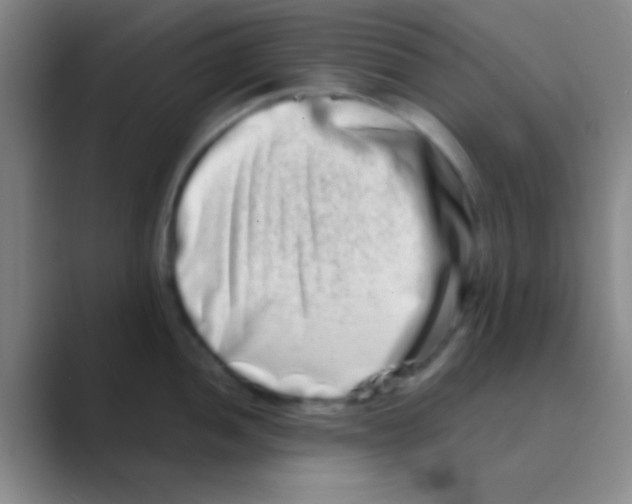 X0000088721052200706282059