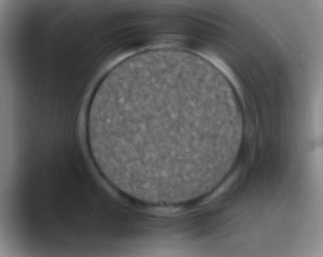 X0000088721053200706282059