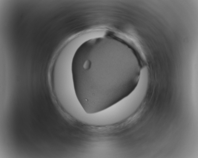 X0000088721054200706282100