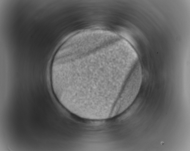 X0000088721055200706282100