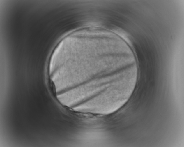 X0000088721056200706282100