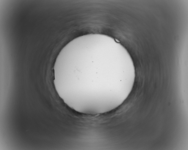 X0000088721057200706282059