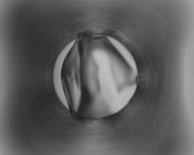 X0000088721058200706282059