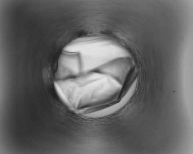 X0000088721059200706282059