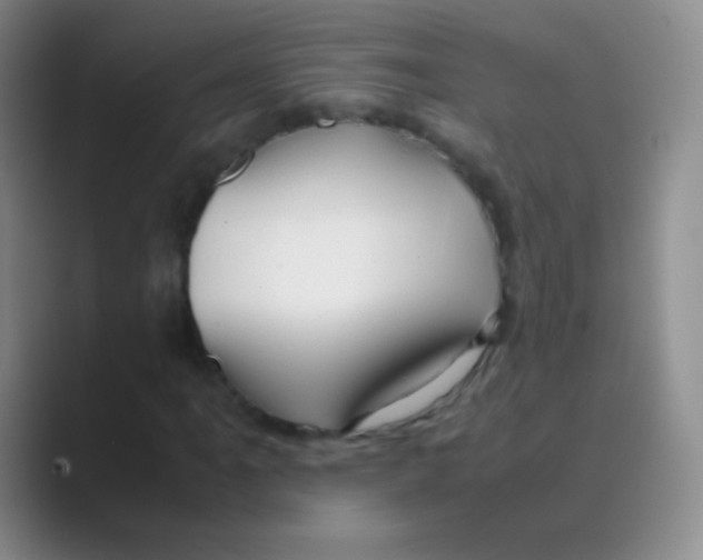 X0000088721061200706282059