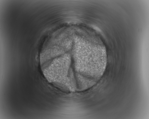 X0000088721063200706282059