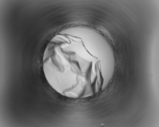 X0000088721064200706282059