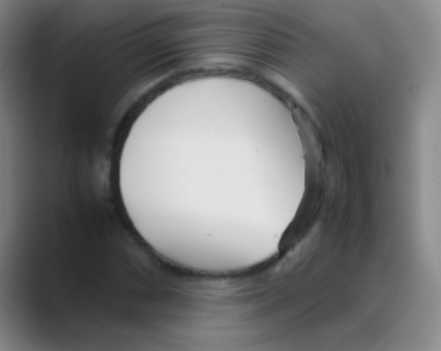 X0000088721066200706282059