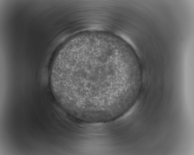 X0000088721067200706282059