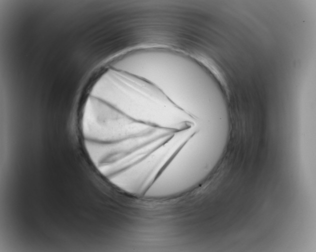 X0000088721072200706282059