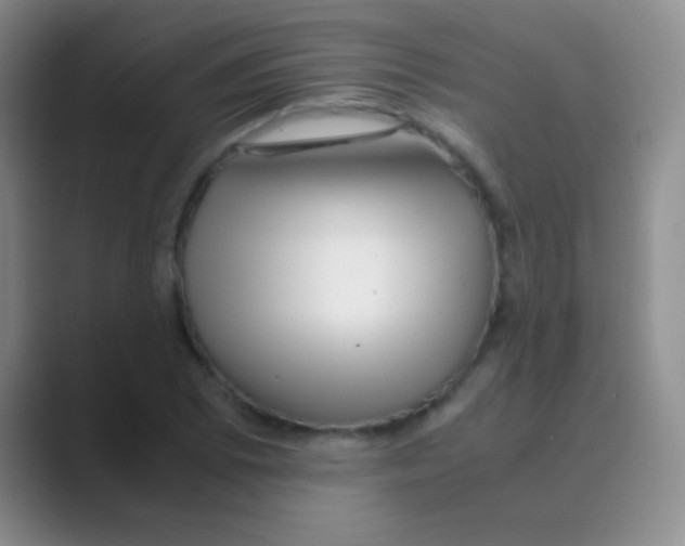 X0000088721073200706282059