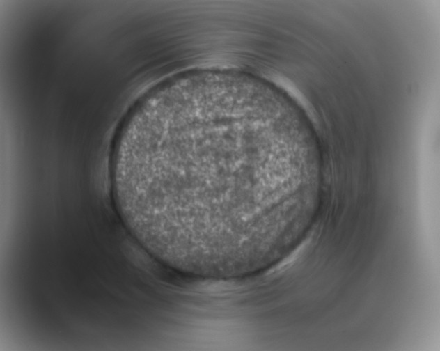 X0000088721075200706282059