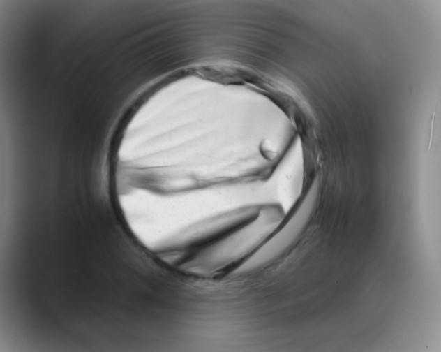 X0000088721076200706282059