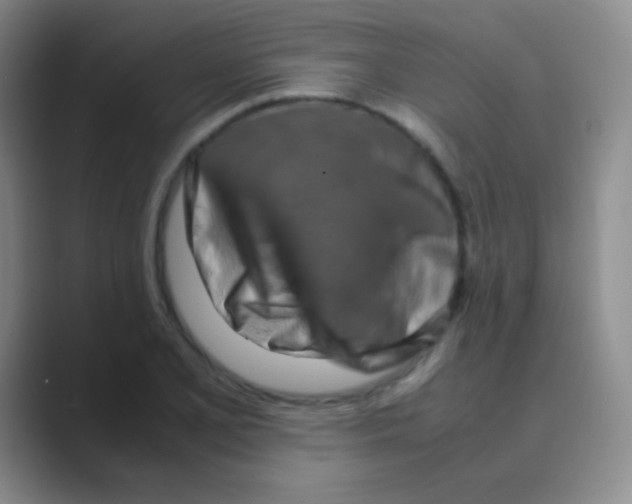 X0000088721077200706282059