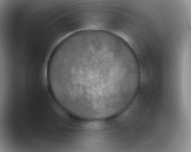 X0000088721078200706282059