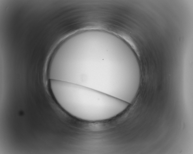 X0000088721080200706282059