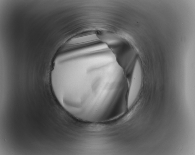 X0000088721081200706282059