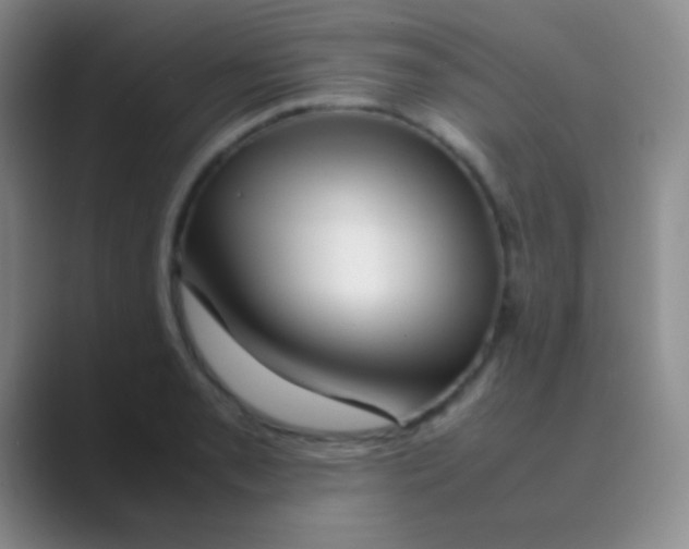 X0000088721085200706282059