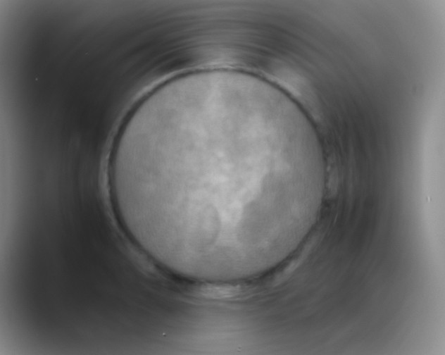 X0000088721086200706282059