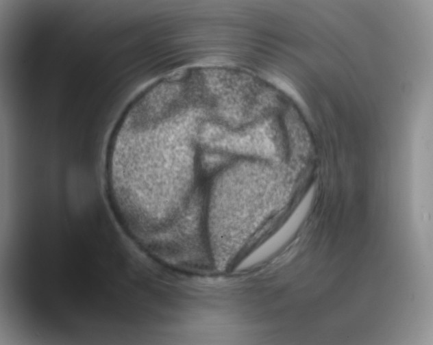 X0000088721087200706282059