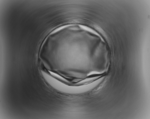 X0000088721089200706282058