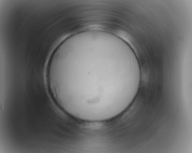 X0000088721090200706282058