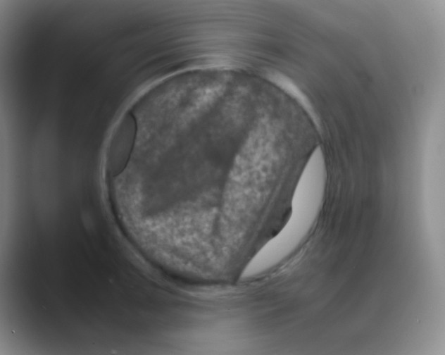 X0000088721091200706282058