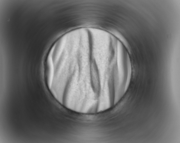 X0000088721096200706282058