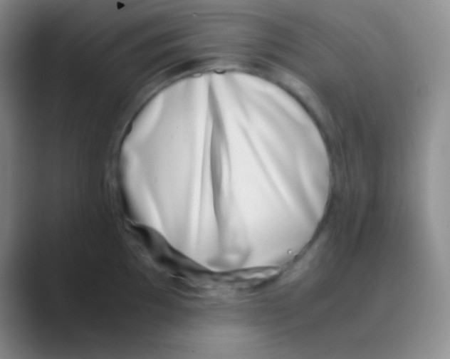 X0000088721097200706282058