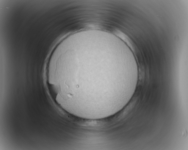 X0000088721098200706282058